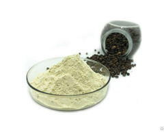 Black Pepper Extract Manufacturer And Supplier