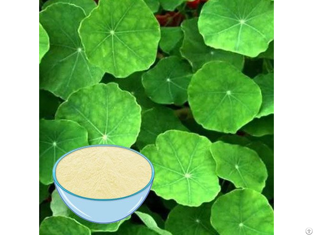 Gotu Kola Extract Powder