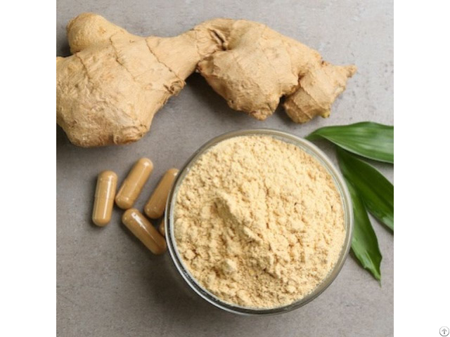 Ginger Extract Powder