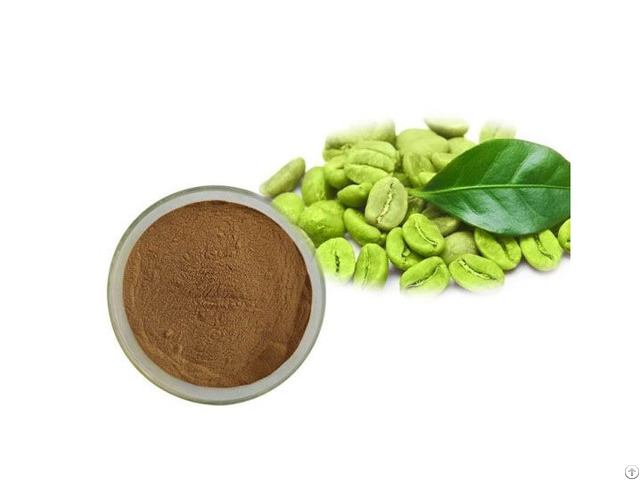 Green Coffee Bean Extract Powder