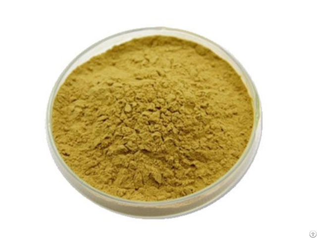 White Willow Bark Extract