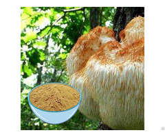 Buy Hericium Erinaceus Extract Powder