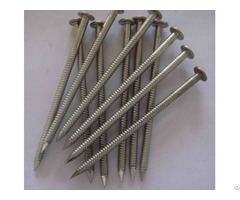 Stainless Steel Roofing Nails