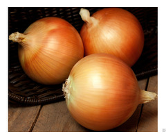 Onion Dried Fresh