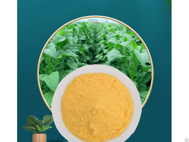 Coenzyme Q10 Powder