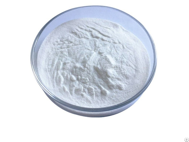 Fish Collagen Supplier