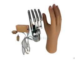 Prosthetics Upper Limbs Myoelectric Control Prosthetic Hand
