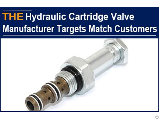 Hydraulic Cartridge Valve Manufacturer Targets Suitable Match Customers