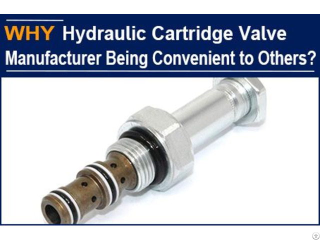 Hydraulic Cartridge Valve Manufacturer Being Convenient To Others Why