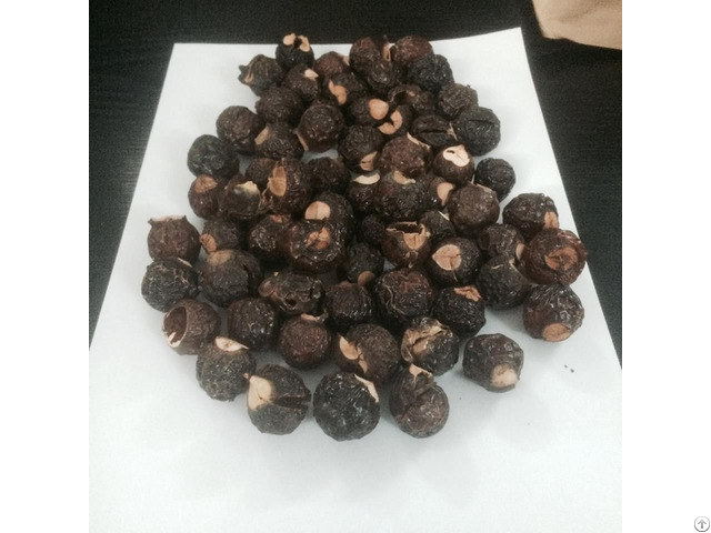 Soap Nuts Suppliers