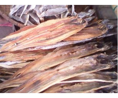 Dried Ribbonfish