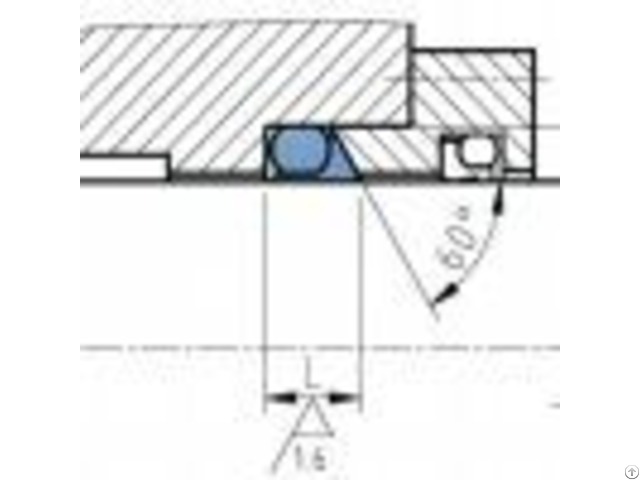 Slip Ring Seal