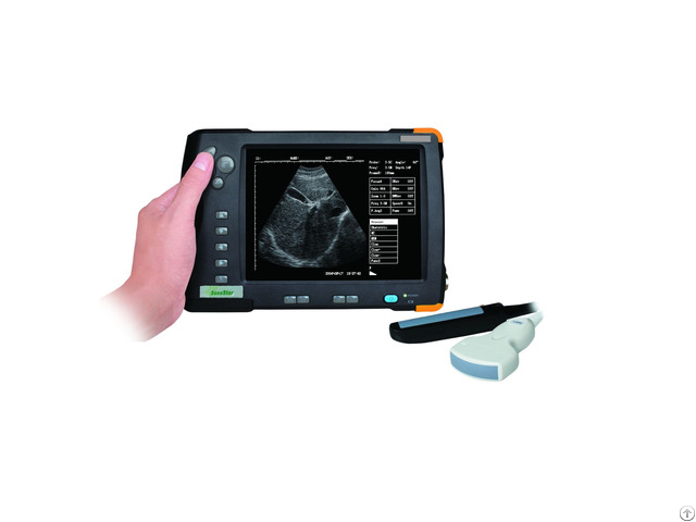 Veterinary Palm Ultrasound Scanner