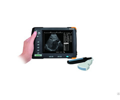 Veterinary Palm Ultrasound Scanner