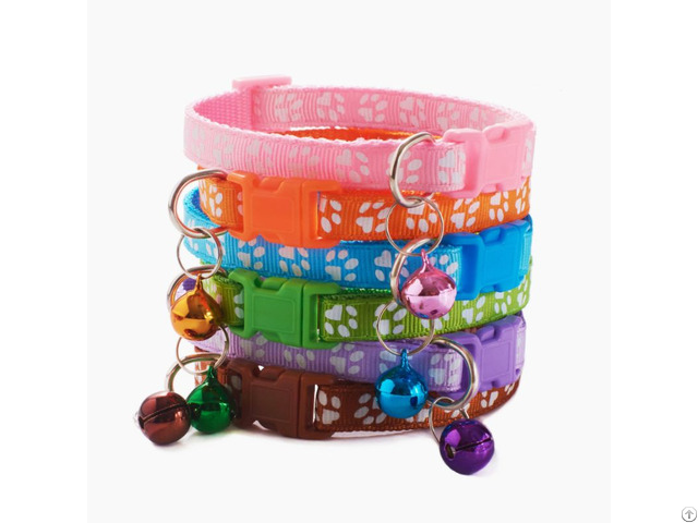 Pet Collars