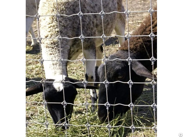 Woven Wire For Cattle Sheep