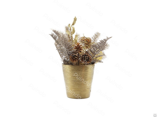 Puindo Customized Indoor Desktop Decoration Potted Plant