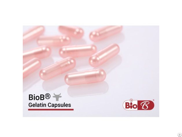 Gelatin Capsules Dah Feng Capsule Industry Co Ltd