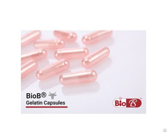 Gelatin Capsules Dah Feng Capsule Industry Co Ltd