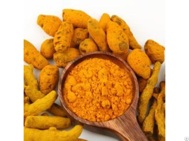 Tumeric Powder Suppliers