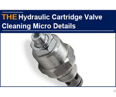 Hydraulic Cartridge Valve Cleaning Micro Details