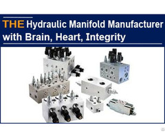 Hydraulic Manifold Manufacturer With Brain Heart Integrity
