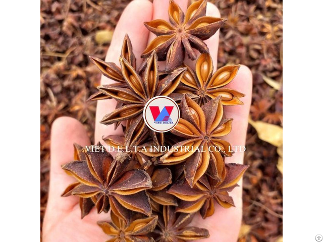 Vietnam Star Anise Best Price Whole Sale