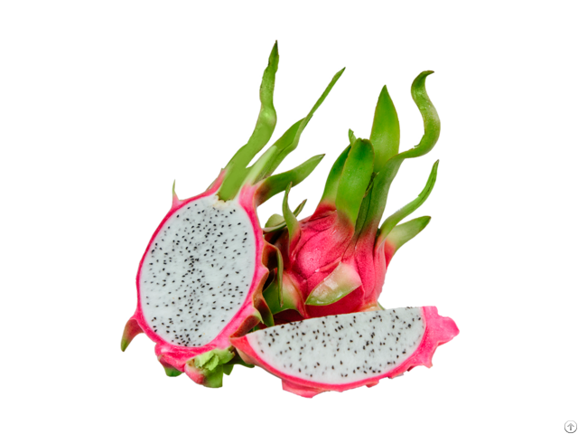 Dragon Fruit High Quality Good Price Origin Vietnam