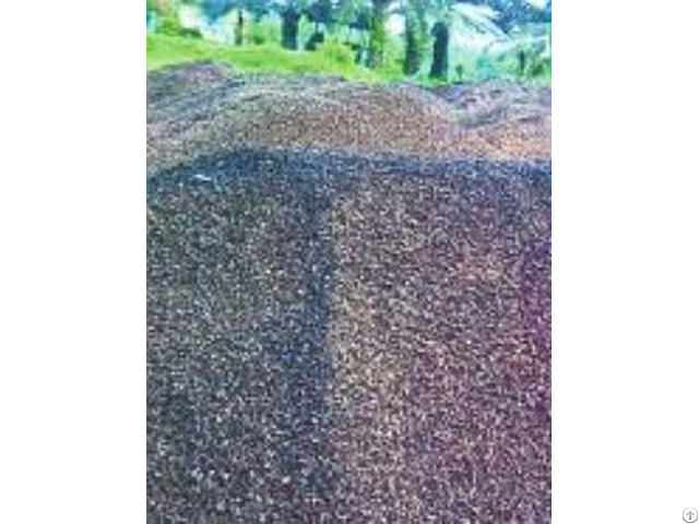 Palm Kernel Shell 1