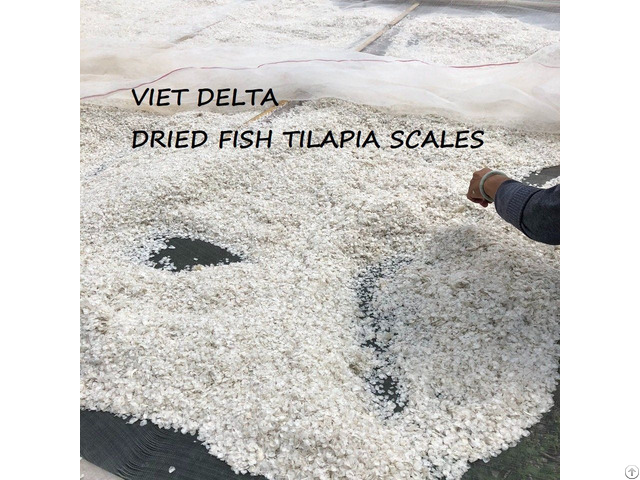 Best Seller Dried Fish Scales From Viet Nam