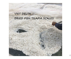 Best Seller Dried Fish Scales From Viet Nam