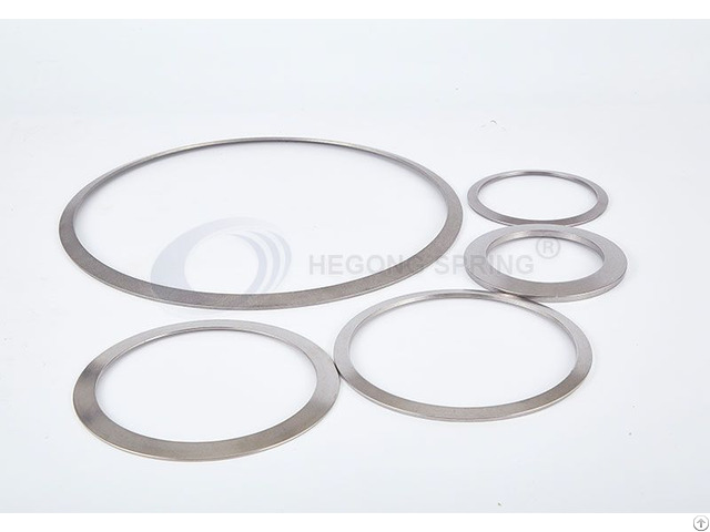 Disc Springs For Valves