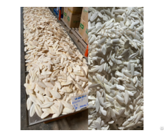Wholesale Price Sepia Cuttlefish Bone For Parrots And Retiles