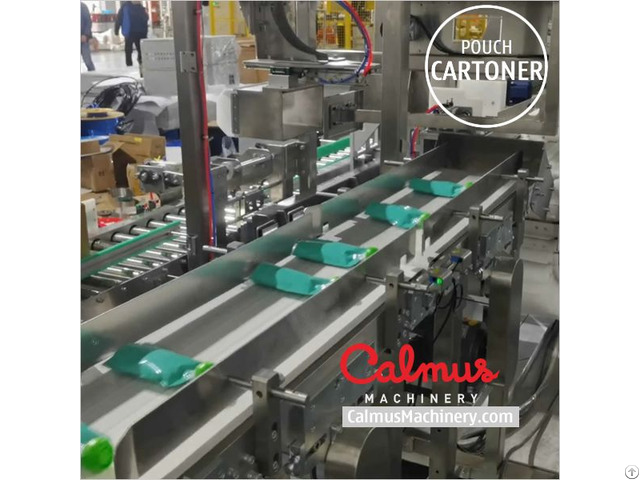 Case Packer Pouch Cartoning Line For Packaging Doypack Bags