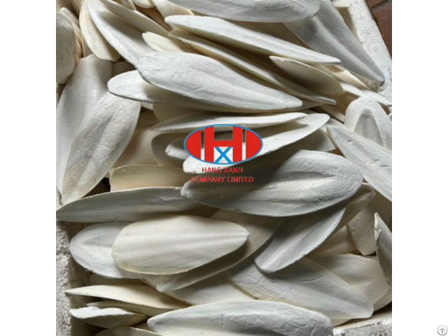 High Quanlity Cuttelfish Bone From Viet Nam