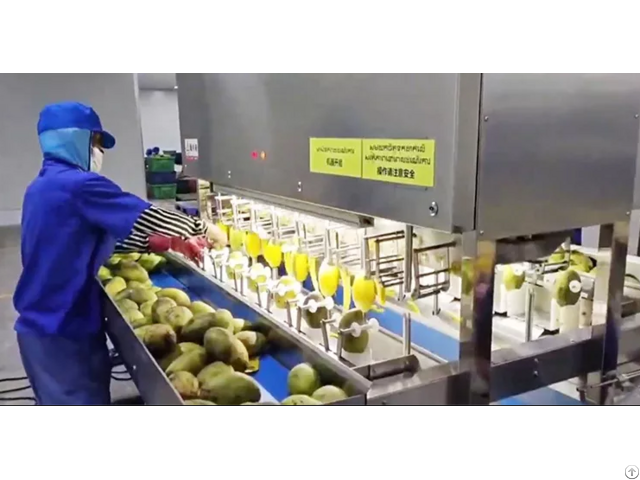 Automatic Commercial Mango Papaya Taro Fruit Peeling Machine