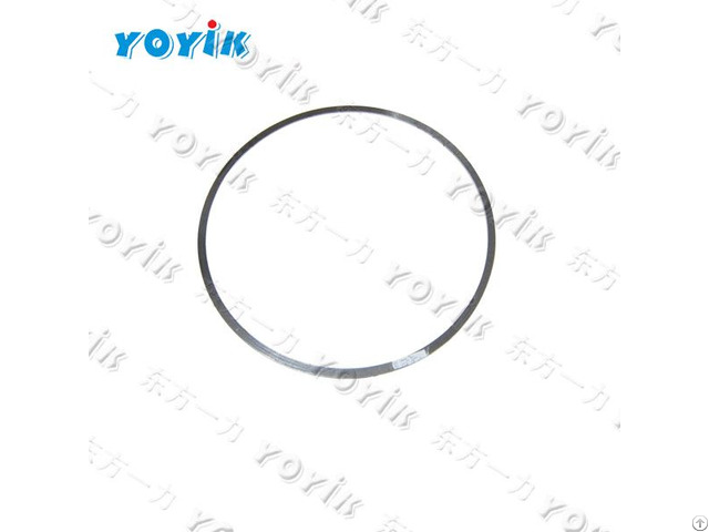 O Ring Hzb253 640 03 08 09 For Steam Turbine