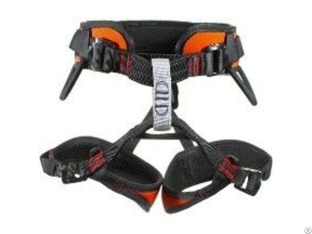 Climbing Harness