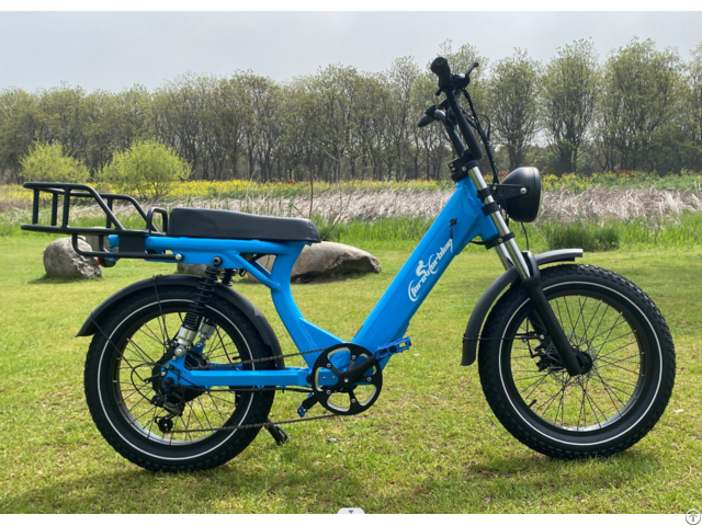 Ebike Model 2205