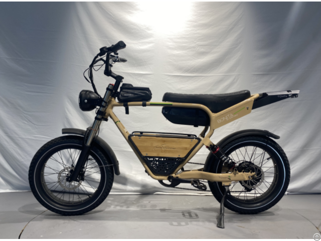 Ebike Model 2318