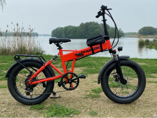 Ebike Model 2209