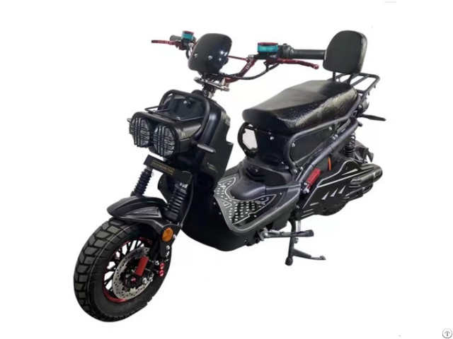 Ebike Model 1706