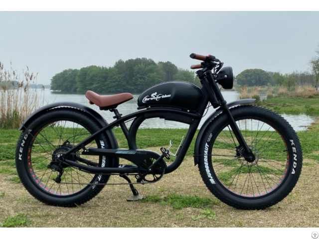 Ebike Model 2216