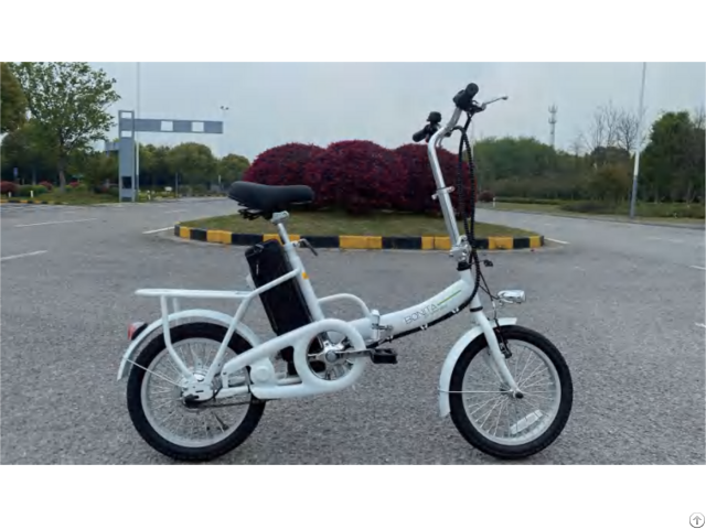 Ebike Model 308 5