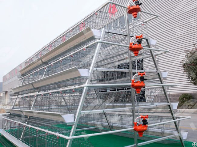 A Type Layer Chicken Cage System