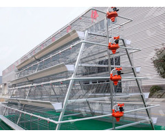 A Type Layer Chicken Cage System