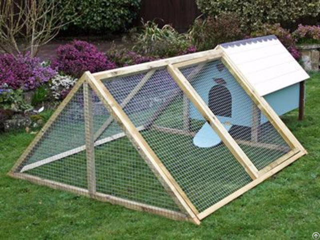 Chicken Coop