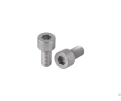 Stainless Steel Precisionthumb Screw