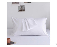 Waterproof Pillow Protector Zippered Bed Bug Proof Encasement