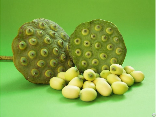 Lotus Seeds